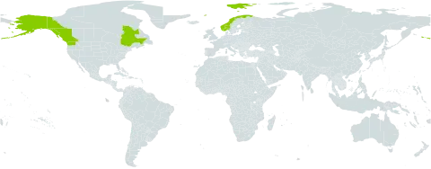 Carex stylosa world distribution map, present in Canada, Norway, and United States of America