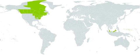 Carex trisperma world distribution map, present in Canada, France, Micronesia (Federated States of), Malaysia, and United States of America