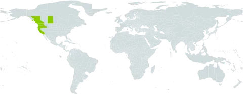 Carex unilateralis world distribution map, present in Canada and United States of America