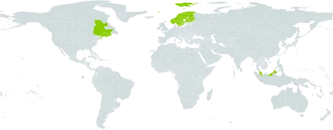 Carex vacillans world distribution map, present in Canada, Finland, France, Malaysia, Norway, Sweden, and United States of America