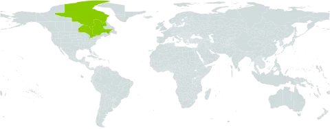 Carex x dumanii world distribution map, present in Canada