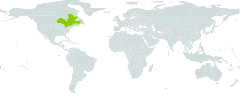Carex x mendica world distribution map, present in Canada
