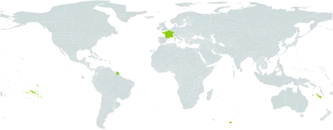 Carex x turfosa world distribution map, present in France