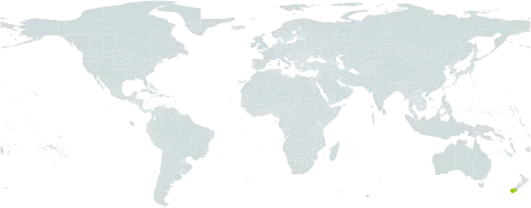 Carex zotovii world distribution map, present in New Zealand