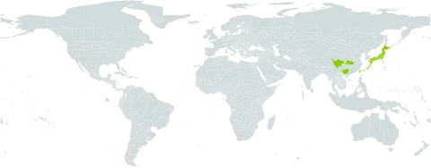 Carpesium faberi world distribution map, present in China, Japan, and Taiwan, Province of China
