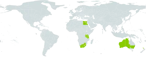 Cassia eremophila world distribution map, present in Australia, Egypt, New Zealand, Tanzania, United Republic of, and South Africa
