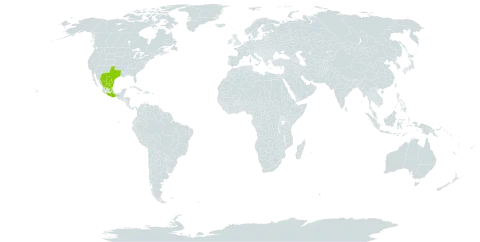 Castela tortuosa world distribution map, present in Mexico and United States of America