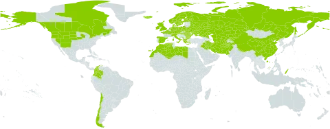 Catabrosa aquatica world distribution map, present in Afghanistan, Albania, Austria, Bulgaria, Belarus, Canada, Switzerland, Chile, China, Colombia, Czech Republic, Germany, Denmark, Algeria, Spain, Finland, France, United Kingdom of Great Britain and Northern Ireland, Greece, Hungary, Ireland, Iran (Islamic Republic of), Iraq, Iceland, Italy, Kazakhstan, Kyrgyzstan, Libya, Morocco, Montenegro, Netherlands, Norway, Nepal, Pakistan, Palau, Poland, Romania, Russian Federation, Sweden, Turks and Caicos Islands, Turkmenistan, Ukraine, United States of America, and Uzbekistan