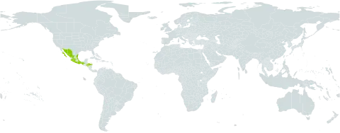 Ceiba acuminata world distribution map, present in Honduras and Mexico