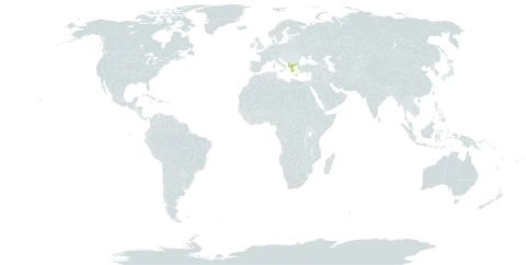 Centaurea graeca world distribution map, present in Albania, Greece, North Macedonia, and Serbia