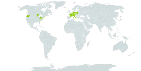 Centaurea nigrescens subsp. transalpina world distribution map, present in Austria, Switzerland, Germany, France, Italy, Liechtenstein, Poland, and United States of America