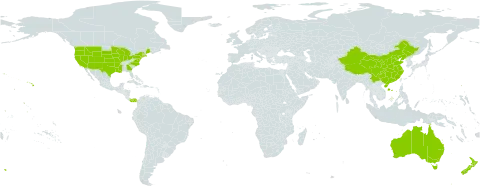 Centaurium world distribution map, present in Australia, China, New Zealand, Panama, and United States of America