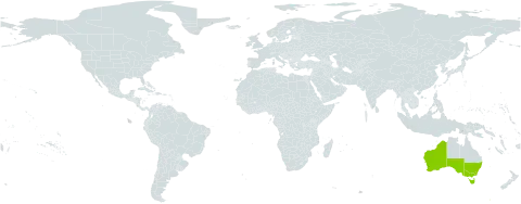 Centrolepis aristata world distribution map, present in Australia