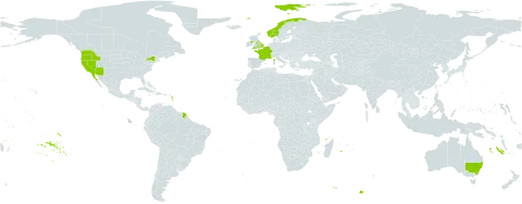 Centromadia pungens subsp. pungens world distribution map, present in Australia, Belgium, France, United Kingdom of Great Britain and Northern Ireland, Mexico, Norway, and United States of America