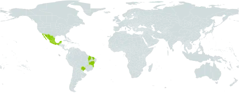 Centrosema schottii world distribution map, present in Brazil and Mexico