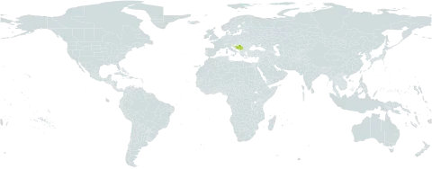 Cerastium malyi world distribution map, present in Bosnia and Herzegovina, Montenegro, and Serbia