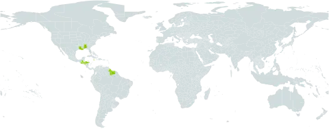 Ceratopteris richardii world distribution map, present in Guatemala, French Guiana, Guyana, Honduras, Jamaica, Puerto Rico, Suriname, Trinidad and Tobago, and United States of America