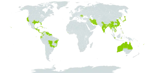 Ceratopteris thalictroides subsp. thalictroides world distribution map, present in Australia, Bangladesh, Brazil, China, Colombia, Costa Rica, Cuba, Ecuador, Fiji, Micronesia (Federated States of), Guatemala, French Guiana, Guam, Guyana, Honduras, Indonesia, India, Iran (Islamic Republic of), Jamaica, Japan, Cambodia, Lao People's Democratic Republic, Sri Lanka, Mexico, Myanmar, Nicaragua, Nepal, Panama, Philippines, Palau, Papua New Guinea, Puerto Rico, Korea (Democratic People's Republic of), Romania, Singapore, Solomon Islands, El Salvador, Suriname, Trinidad and Tobago, Taiwan, Province of China, United States of America, Venezuela (Bolivarian Republic of), and Viet Nam