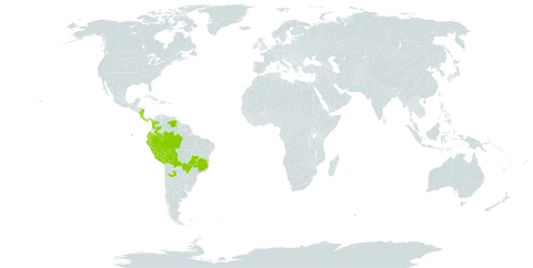 Cestrum reflexum world distribution map, present in Argentina, Bolivia (Plurinational State of), Brazil, Colombia, Costa Rica, Ecuador, Nicaragua, Panama, Peru, Paraguay, and Venezuela (Bolivarian Republic of)