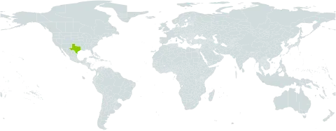 Chaetopappa effusa world distribution map, present in United States of America