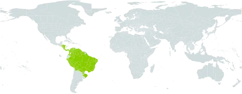 Chamaecrista desvauxii var. brevipes world distribution map, present in American Samoa, Bolivia (Plurinational State of), Brazil, Colombia, Costa Rica, Guyana, Honduras, Nicaragua, Panama, Peru, Paraguay, Suriname, and Venezuela (Bolivarian Republic of)