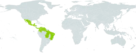 Chamaecrista hispidula world distribution map, present in Bonaire, Sint Eustatius and Saba, Belize, Brazil, Colombia, Costa Rica, Guatemala, French Guiana, Guyana, Honduras, Mexico, Panama, El Salvador, and Venezuela (Bolivarian Republic of)
