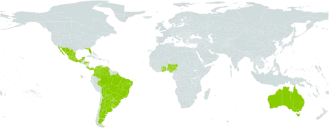 Chamaecrista rotundifolia world distribution map, present in Argentina, Australia, Bonaire, Sint Eustatius and Saba, Bolivia (Plurinational State of), Brazil, Colombia, Costa Rica, Ghana, Honduras, Mexico, Nigeria, Panama, Paraguay, Togo, Uruguay, United States of America, and Venezuela (Bolivarian Republic of)