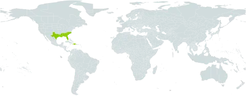 Chaptalia tomentosa world distribution map, present in Dominican Republic, Haiti, and United States of America