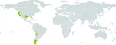 Chenopodium carnosulum world distribution map, present in Argentina, Bolivia (Plurinational State of), Chile, and United States of America