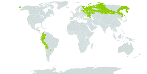 Chenopodium quinoa world distribution map, present in Argentina, Bolivia (Plurinational State of), Chile, Colombia, Ecuador, Estonia, Honduras, Nepal, Peru, and Russian Federation