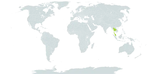 Chisocheton macrophyllus subsp. fulvescens world distribution map, present in Iceland, Malaysia, and Thailand