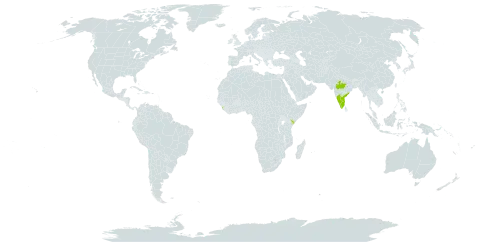 Chloroxylon swietenia world distribution map, present in India, Kenya, and Sri Lanka