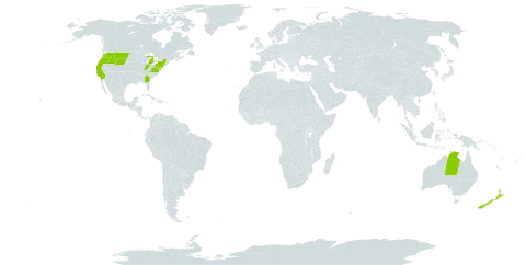 Chondrilla world distribution map, present in Australia, New Zealand, and United States of America