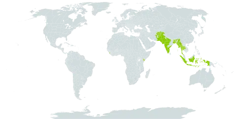 Chrozophora rottleri world distribution map, present in Afghanistan, Andorra, Bangladesh, Indonesia, India, Kenya, Sri Lanka, Myanmar, Pakistan, and Thailand