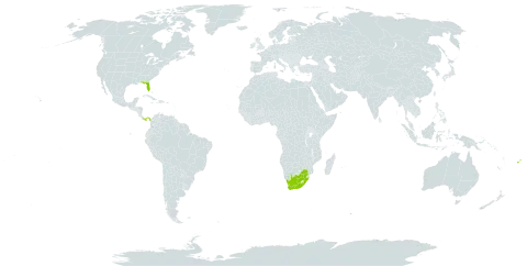 Chrysobalanus world distribution map, present in Fiji, Panama, United States of America, and South Africa