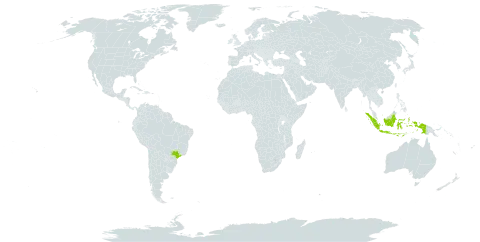 Chrysopogon velutinus world distribution map, present in Brazil and Indonesia