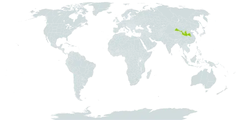 Chrysosplenium giraldianum world distribution map, present in China