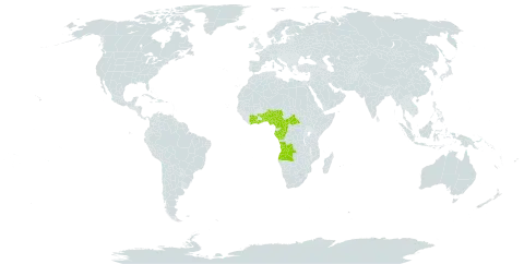 Chytranthus macrobotrys world distribution map, present in Angola, Benin, Central African Republic, Côte d'Ivoire, Cameroon, Congo, Gabon, Ghana, Nigeria, and Togo