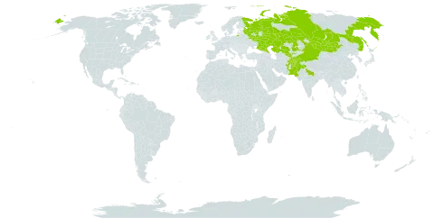Cicer microphyllum world distribution map, present in Afghanistan, China, India, Kazakhstan, Mongolia, Nepal, Pakistan, Russian Federation, Tajikistan, and Uzbekistan