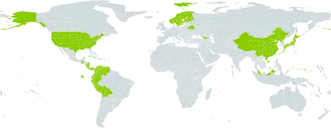 Cinna world distribution map, present in Åland Islands, Belarus, Bolivia (Plurinational State of), China, Colombia, Costa Rica, Ecuador, Finland, Micronesia (Federated States of), Georgia, Guatemala, Japan, Montenegro, Malaysia, Nicaragua, Norway, Panama, Peru, Korea (Democratic People's Republic of), Sweden, United States of America, and Venezuela (Bolivarian Republic of)