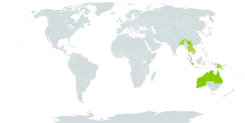 Cissus adnata world distribution map, present in Australia, Bangladesh, China, Indonesia, India, Kenya, Cambodia, Lao People's Democratic Republic, Sri Lanka, Myanmar, Malaysia, Nepal, Philippines, Papua New Guinea, Thailand, Taiwan, Province of China, and Viet Nam