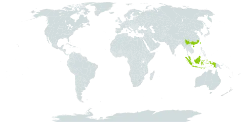 Cissus pteroclada world distribution map, present in China, Indonesia, Malaysia, and Taiwan, Province of China