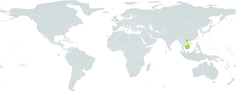 Cissus subhastata world distribution map, present in Cambodia and Viet Nam