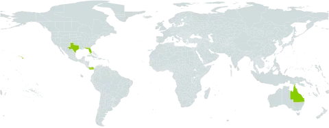 Citharexylum world distribution map, present in Australia, Panama, and United States of America