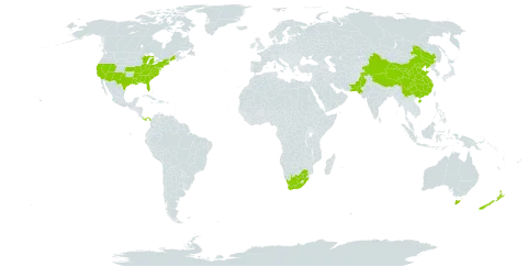Citrullus world distribution map, present in Australia, China, New Zealand, Pakistan, Panama, United States of America, and South Africa