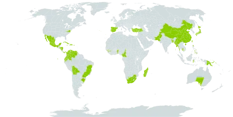 Citrus maxima world distribution map, present in American Samoa, Australia, Benin, Bangladesh, Bolivia (Plurinational State of), Brazil, Bhutan, China, Cameroon, Cook Islands, Colombia, Cuba, Dominican Republic, Ecuador, Spain, Fiji, Micronesia (Federated States of), Guinea, Equatorial Guinea, Guam, Honduras, Haiti, Indonesia, India, Jamaica, Japan, Cambodia, Sri Lanka, Madagascar, Maldives, Mexico, Myanmar, Nicaragua, Niue, Nepal, Pakistan, Panama, Philippines, Papua New Guinea, Puerto Rico, Portugal, Tonga, Trinidad and Tobago, Turkey, Taiwan, Province of China, United States of America, Venezuela (Bolivarian Republic of), and South Africa