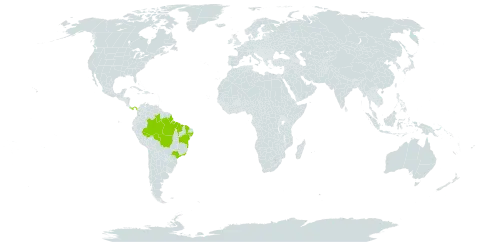 Clidemia dentata world distribution map, present in Brazil and Panama