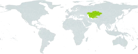 Climacoptera bucharica world distribution map, present in Kazakhstan, Tajikistan, Turkmenistan, and Uzbekistan