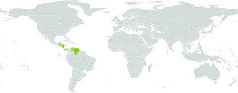 Clowesia russelliana world distribution map, present in Belize, Guatemala, Honduras, Nicaragua, Panama, and Venezuela (Bolivarian Republic of)