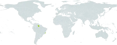 Coccoloba tenuiflora world distribution map, present in Brazil